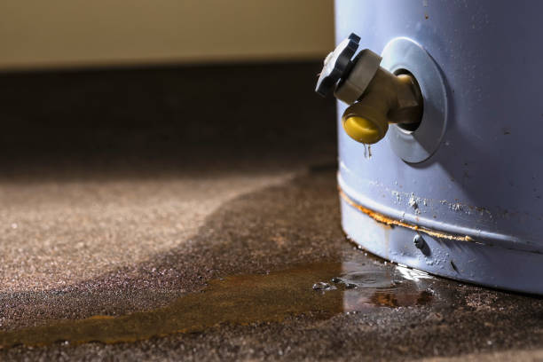 Best Water damage restoration cost  in Wanamingo, MN