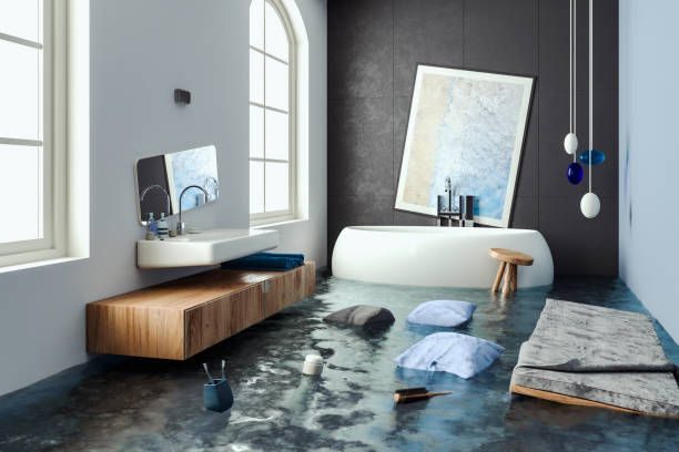 Best Local water damage restoration  in Wanamingo, MN