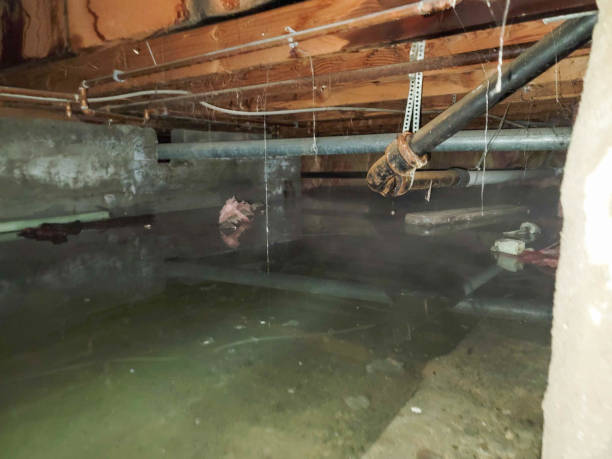 Best Emergency water damage restoration  in Wanamingo, MN