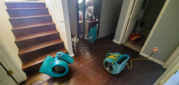  Wanamingo, MN Water damage restoration Pros