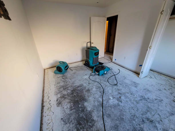 Best 24-hour water damage restoration  in Wanamingo, MN