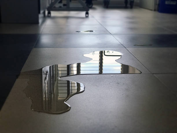 Best 24/7 water damage repair  in Wanamingo, MN