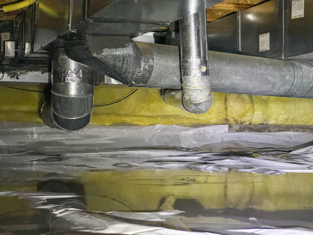 Best Basement water damage restoration  in Wanamingo, MN