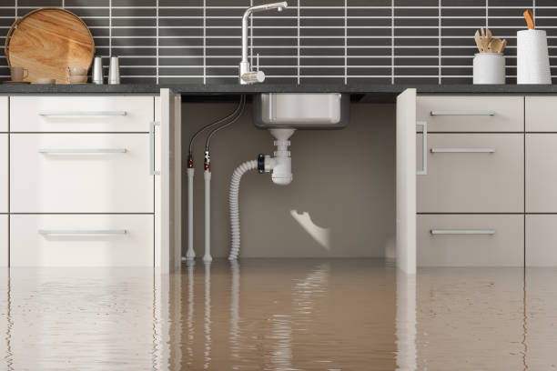 Best Mold removal after water damage  in Wanamingo, MN